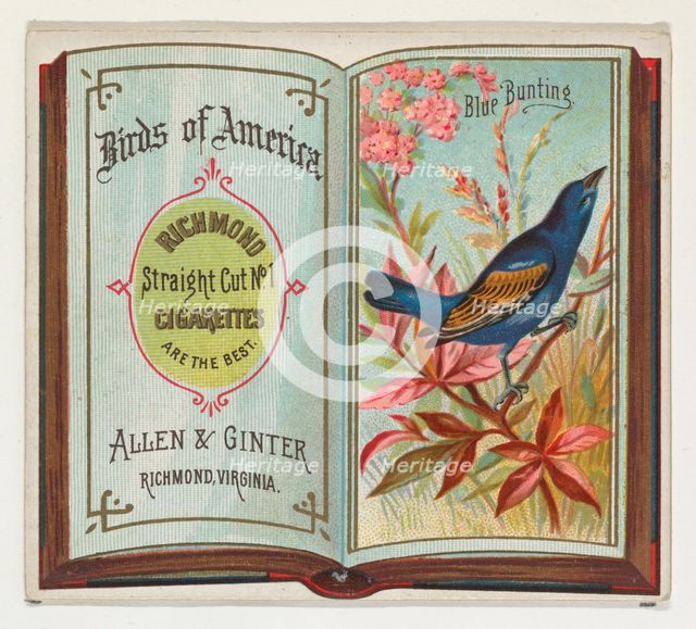Blue Bunting, from the Birds of America series (N37) for Allen & Ginter Cigarettes, 1888. Creator: Allen & Ginter.
