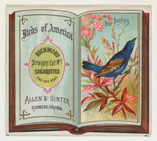 Blue Bunting, from the Birds of America series (N37) for Allen & Ginter Cigarettes, 1888. Creator: Allen & Ginter