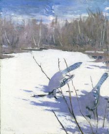 Blue Jays in Winter, study for book Concealing Coloration in the Animal Kingdom, ca. 1905-1909. Creator: Abbott Handerson Thayer