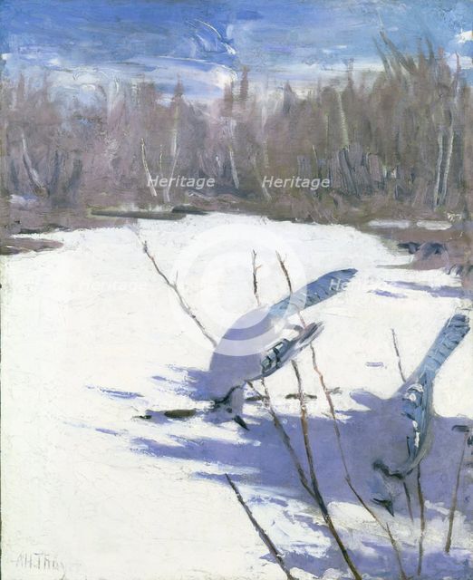 Blue Jays in Winter, study for book Concealing Coloration in the Animal Kingdom, ca. 1905-1909. Creator: Abbott Handerson Thayer.