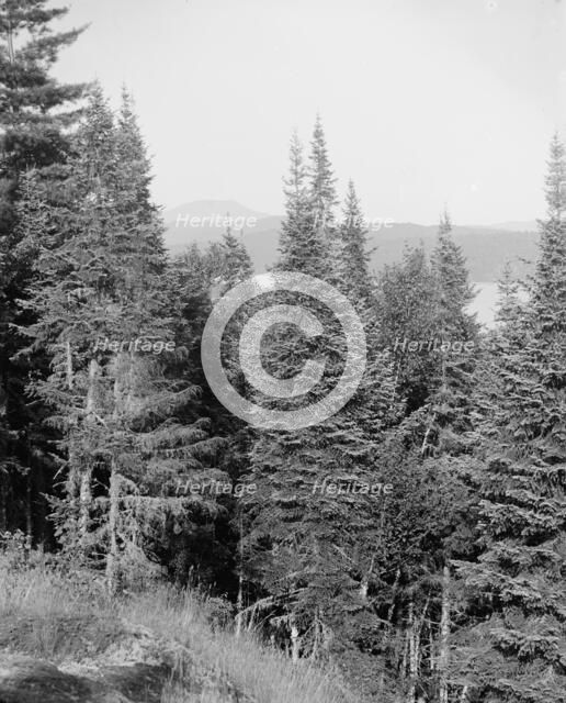 Blue Mountain from the crags, Adirondack Mts., N.Y., between 1900 and 1910. Creator: Unknown.