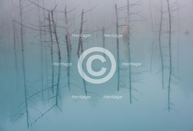 Blue Pond. Creator: Dorte Verner.