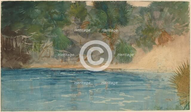 Blue Spring, Florida, 1890. Creator: Winslow Homer.