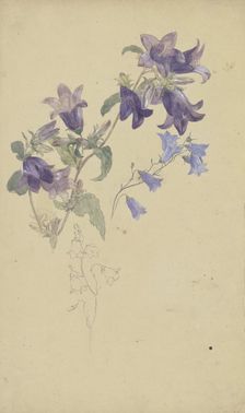 Bluebells. Creator: Wilhelm August Theodor Steinhausen