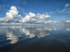 Bluebird Morning. Creator: Eve Turek