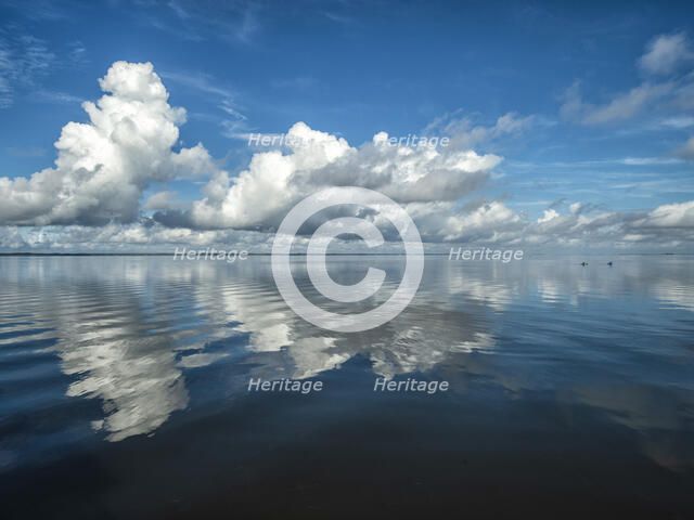 Bluebird Morning. Creator: Eve Turek.