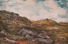 Blythburgh Common 1888. Artist: Thomas Collier