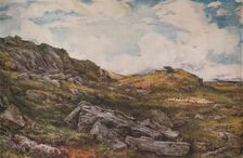 Blythburgh Common 1888. Artist: Thomas Collier