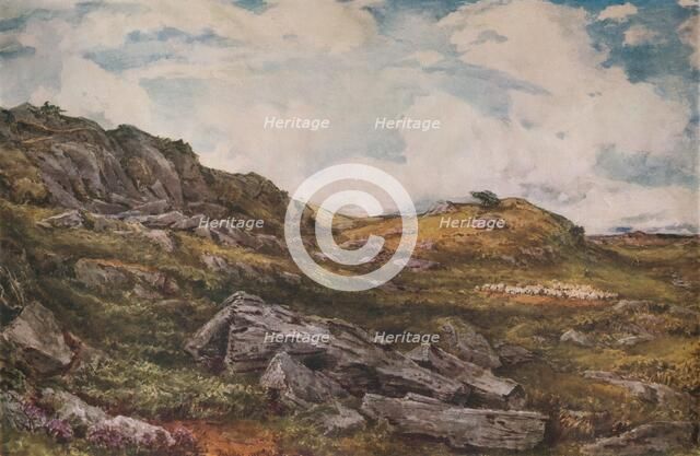 Blythburgh Common', 1888. Artist: Thomas Collier.