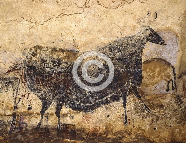 Black Cow. Caves painting of Lascaux, ca 16.000-15.000 BC. Creator: Art of the Upper Paleolithic.