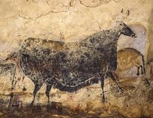 Black Cow. Caves painting of Lascaux, ca 16.000-15.000 BC. Creator: Art of the Upper Paleolithic