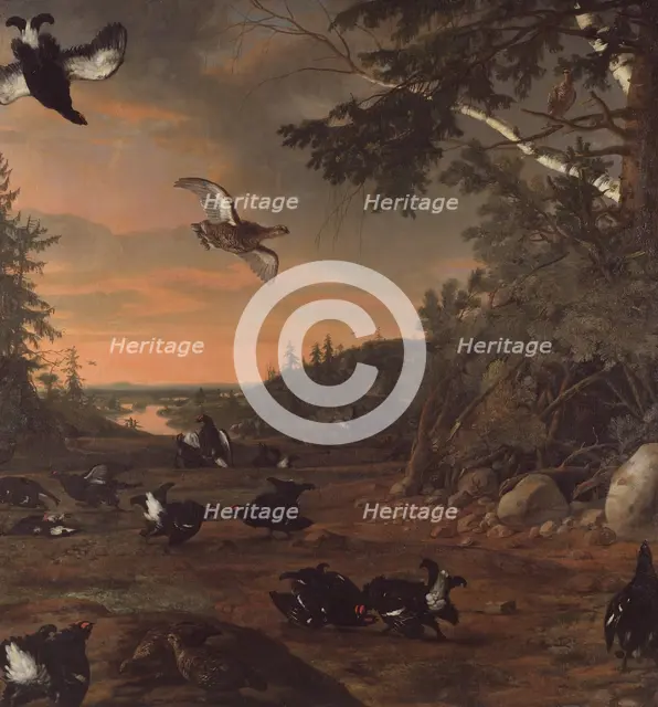 Black Cocks at Ground, 1675. Creator: David Klocker Ehrenstrahl.