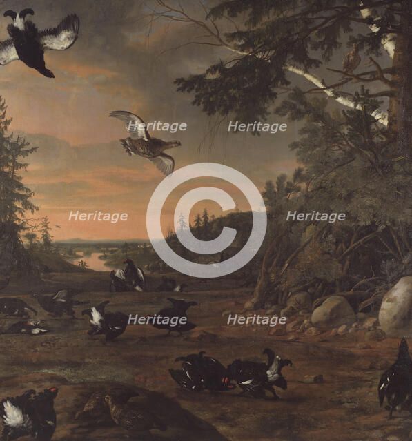 Black Cocks at Ground, 1675. Creator: David Klocker Ehrenstrahl.