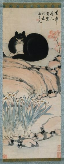 Black Cat and Narcissus, 19th century. Creator: Zhu Ling