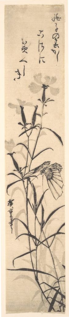 Black and White Print of Butterfly and Flower (a Pink). Creator: Ando Hiroshige