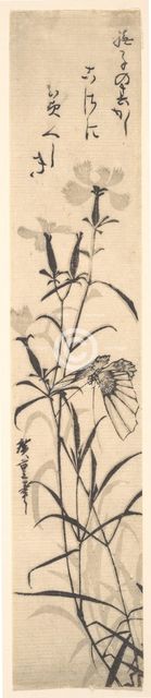 Black and White Print of Butterfly and Flower (a Pink). Creator: Ando Hiroshige.