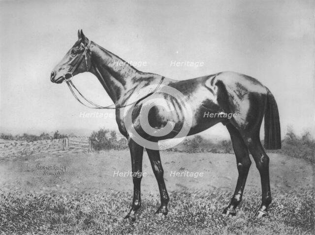 'Black Arrow', 1911. Artist: Unknown.