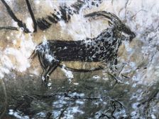 Black Goat Hall (Niaux cave) - panel 4, No. 84: the profile was first drew by a discontinuos line…