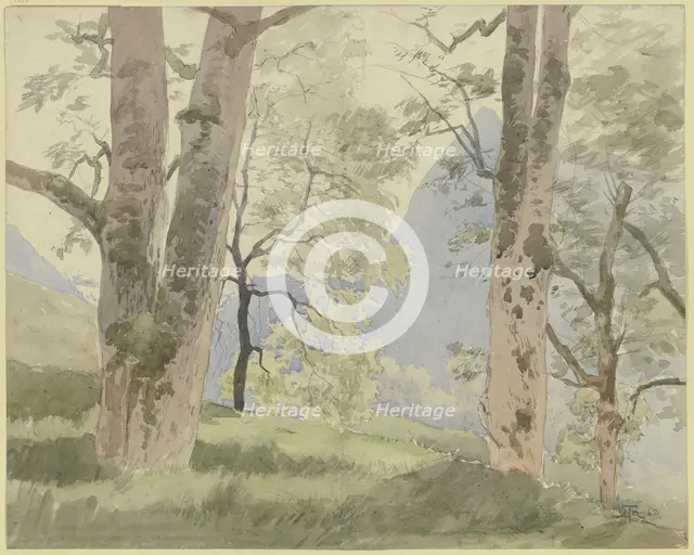 Black Forest landscape: view from the edge of the forest to the mountains, 1862. Creator: Hans Thoma.