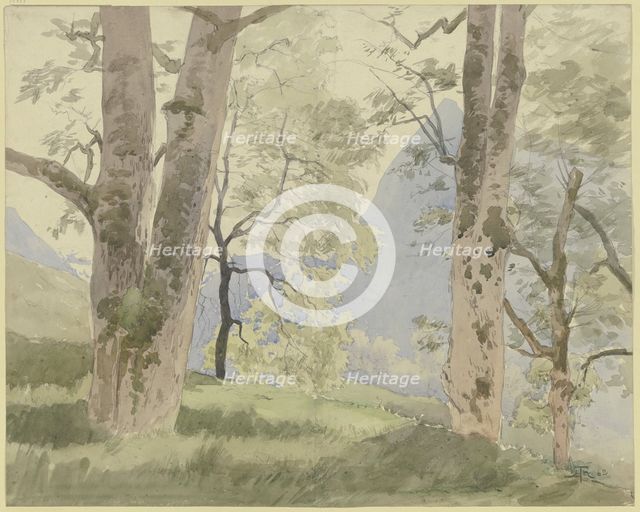 Black Forest landscape: view from the edge of the forest to the mountains, 1862. Creator: Hans Thoma.