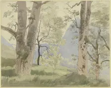 Black Forest landscape: view from the edge of the forest to the mountains, 1862. Creator: Hans Thoma