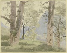 Black Forest landscape: view from the edge of the forest to the mountains, 1862. Creator: Hans Thoma