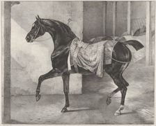 Black Horse Tethered in a Stable, 1822. Creator: Theodore Gericault