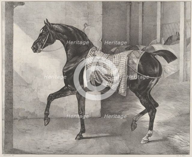 Black Horse Tethered in a Stable, 1822. Creator: Theodore Gericault.
