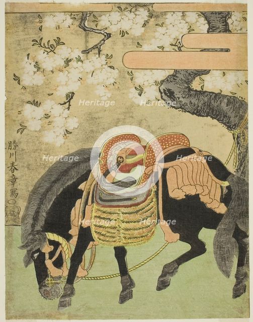 Black Horse Tethered under a Blossoming Cherry Tree, Japan, c. 1770. Creator: Shunsho.
