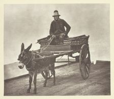 Black Jack, 1881. Creator: John Thomson