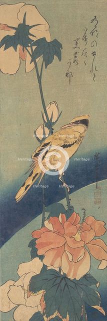 Black-naped Oriole Perched on a Stem of Rose Mallow, ca. 1834., ca. 1834. Creator: Ando Hiroshige.