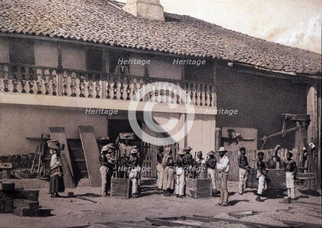 Black slaves boxing and weighing the sugar, working on an agricultural plantation, reproduction o…