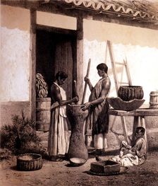 Black slaves grinding coffee on an agricultural plantation, lithograph