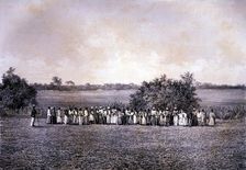 Black slaves working in the sugar harvest, lithograph