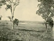 Black Swan Lagoon, near Warwick, Queensland 1901. Creator: Unknown