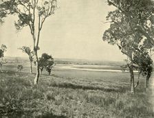 Black Swan Lagoon, near Warwick, Queensland 1901. Creator: Unknown