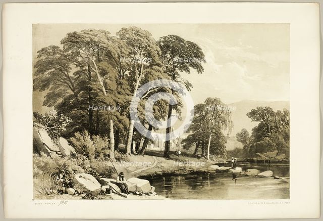 Black Poplar, from The Park and the Forest, 1841. Creator: James Duffield Harding.