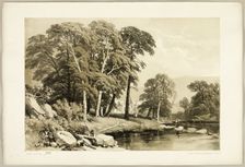 Black Poplar, from The Park and the Forest, 1841. Creator: James Duffield Harding