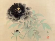 Black Peonies, 1934. Creator: Gyoshu, Hayami (1894-1935)