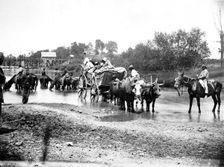 Black refugees travelling in a bullock cart, American Civil War, 1861-1865