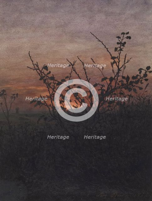 Blackthorn (?) in front of a Landscape at Sunset, 1864. Creator: Leon Bonvin.