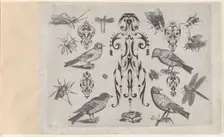 Blackwork Designs with Birds and Insects, Plate 2 from a Series of Blackwork Ornamen..., after 1622. Creator: Meinert Gelijs