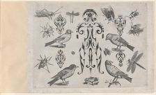 Blackwork Designs with Birds and Insects, Plate 2 from a Series of Blackwork Ornamen..., after 1622. Creator: Meinert Gelijs