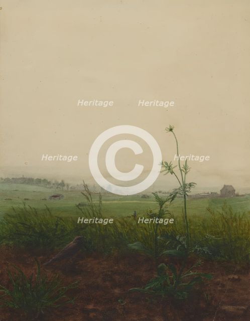 Blackbird and Scabious in front of a Landscape, 1864. Creator: Leon Bonvin.