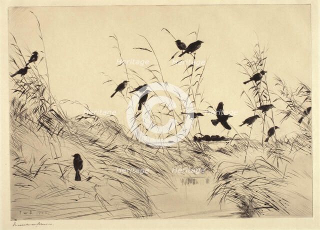Blackbirds and Rushes, 1920. Creator: Frank Weston Benson.