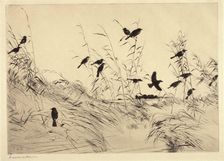 Blackbirds and Rushes, 1920. Creator: Frank Weston Benson