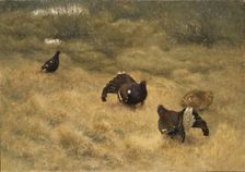 Blackgame in Springtime, 1907. Creator: Bruno Liljefors