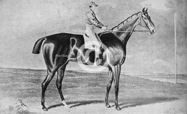 'Blacklock', 1814-1831, (1911). Artist: Unknown.