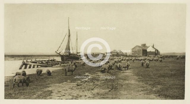 Blackshore, River Blythe (Suffolk), c. 1883/87, printed 1888. Creator: Peter Henry Emerson.