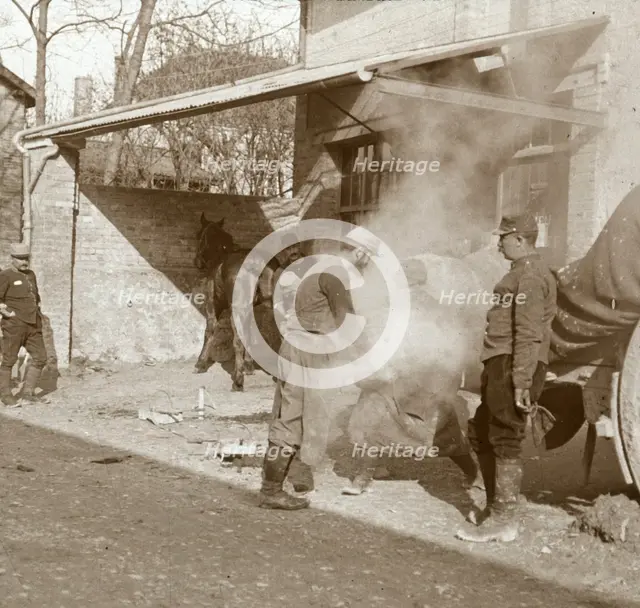 Blacksmith shoeing horse, Suippes, northern France, c1914-c1918. Artist: Unknown.